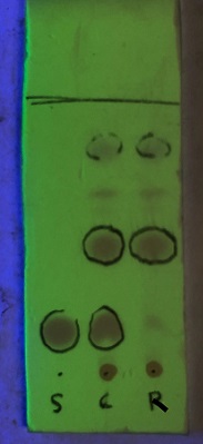v99p0305-9.jpg