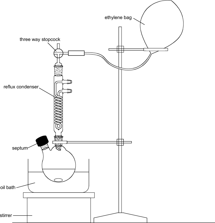 Figure 2. Reaction Apparatus for the Synthesis of 1,3-Diene