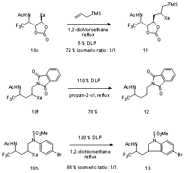 Scheme 1: Radical transformations of adducts (DLP = dilauroyl peroxide)