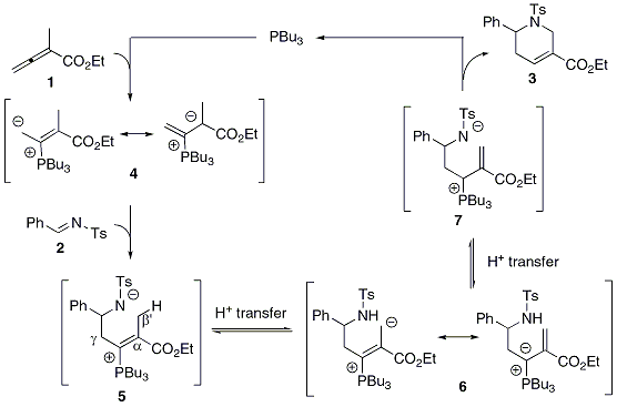 Scheme 1. Proposed mechanism