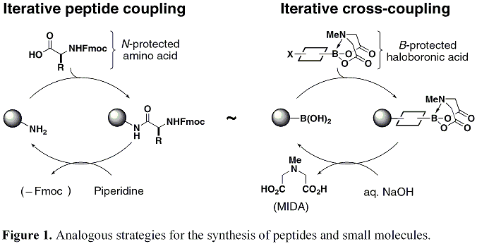 Figure 1. Analogous strategies for the synthesis of peptides and small molecules.
