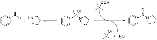 Scheme 1. Mechanism of the oxidative amination of benzaldehyde to N-benzoyl pyrrolidine using tert-butyl hydroperoxide as oxidant.