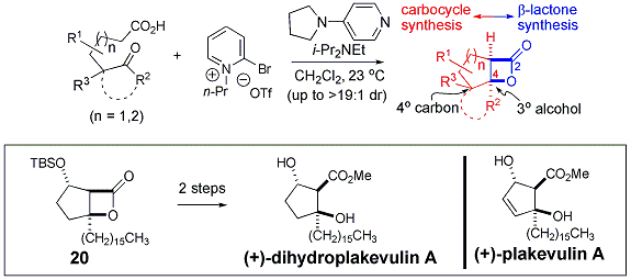


				Scheme 3. Extension of the NCAL process to ketoacid substrates leading to bicyclic and tricyclic-β-lactones with application to the synthesis of (+)-dihydroplakevullin.