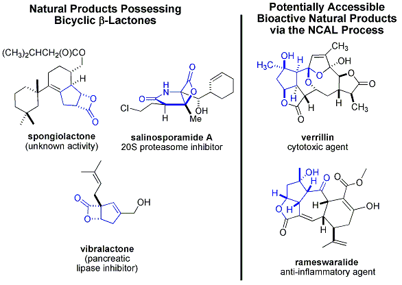 


				Figure 2. Some natural products possessing bicyclic β-lactones or structures potentially accessible from these intermediates.