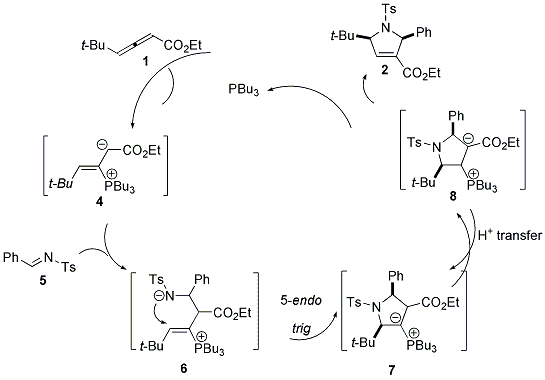 


				Scheme 1. Proposed Mechanism for the Phosphine-Catalyzed [3 + 2] Annulations of γ-Substituted Allenoates and Imines