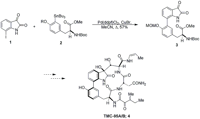 Scheme 1. Albrecht and Williams' Studies toward TMC-95A/B