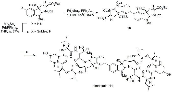Scheme 3. Danishefsky's total synthesis of himastatin.