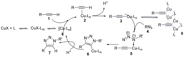 Scheme 1: Mechanism of the Cu-catalyzed azide-alkyne coupling.