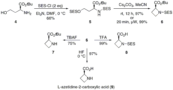 Scheme 2