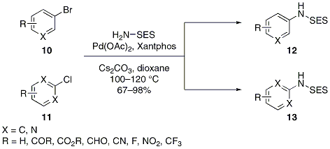 Scheme 3