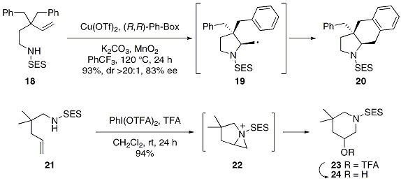 Scheme 5