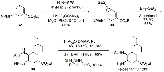 Scheme 7