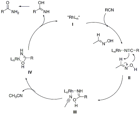 Scheme 1. Mechanistic proposal for the aldoxime promoted amide formation.