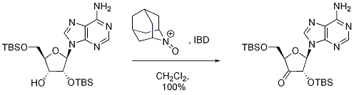 Scheme 12. Oxidation with structurally less hindered class of nitroxyl radicals.