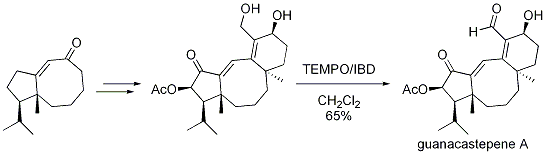 Scheme 2. Total Synthesis of guanacastepene A
