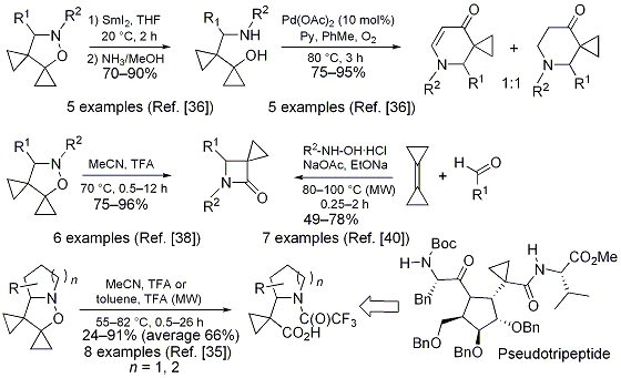 Figure 7.





Transformations of bisspirocyclopropanated isoxazolidines.,,,Zanobini, A.; Brandi, A.; de Meijere, A.





Eur.





J.





Org.





Chem.





2006, 1251-1255.Marradi, M.; Brandi, A.; Magull, J.; Schill, H.; de Meijere, A.





Eur.





J.





Org.





Chem.





2006, 5485-5494.Marradi, M.; Brandi, A.; de Meijere, A.





Synlett 2006, 1125-1127.