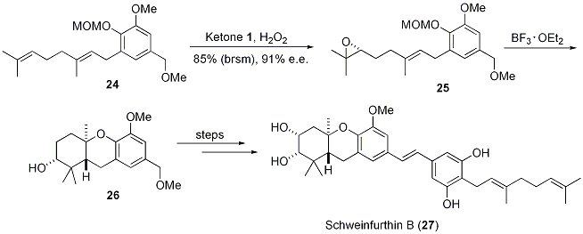 Scheme 7.





Synthesis of Schweinfurthin B (27) via Epoxidation/Cascade Cyclization