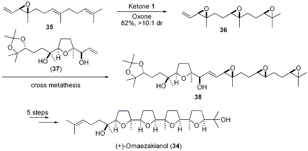 Scheme 10.





Synthesis of (+)-Omaezakianol (34)