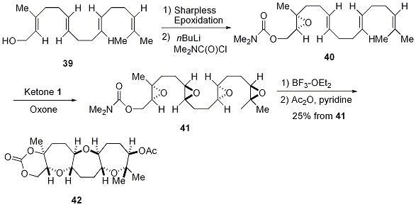 Scheme 11.





Polyepoxide Cyclization