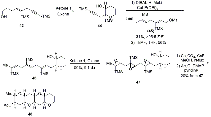 Scheme 12.





Stereoselective Tris-Epoxidation and Subsequent TMS-Directed Cyclization