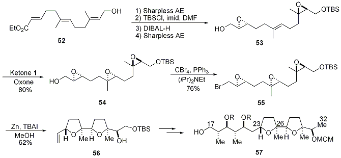 Scheme 14.





Synthesis of C17-C32 Fragment of Ionomycin