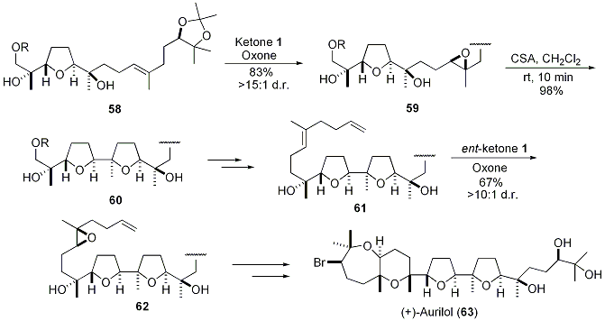 Scheme 15.





Synthesis of (+)-Aurilol (63)