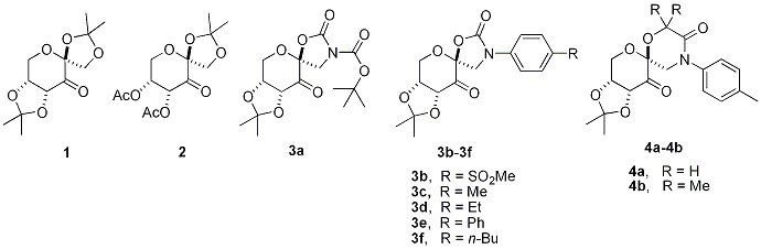 Figure 1. Four Generations of Ketone Catalysts