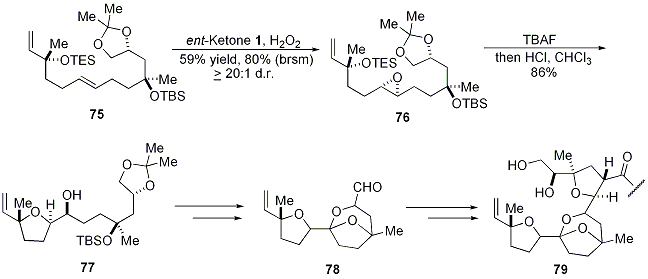Scheme 18.





Synthetic Work Toward Pectenotoxin-2