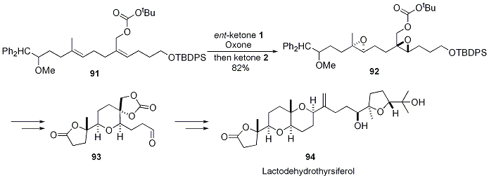 Scheme 22.





Synthesis of Lactodehydrothyrsiferol (94)