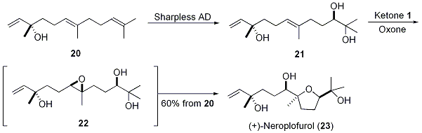 Scheme 6.





Synthesis of (+)-Neroplofurol (23)