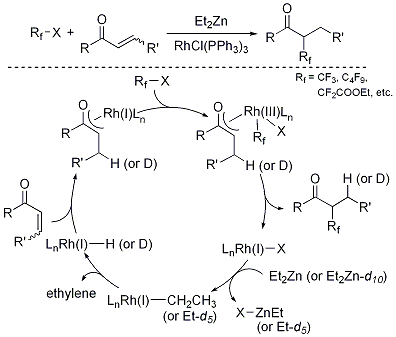 Figure 2. Rh-Catalyzed reductive α-fluoroalkylation and its mechanism.