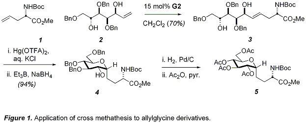 Figure 1. Application of cross methathesis to allylglycine derivatives.