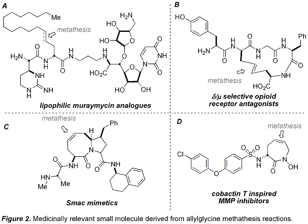 Figure 2. Medicinally relevant small molecule derived from allylglycine methathesis reactions.