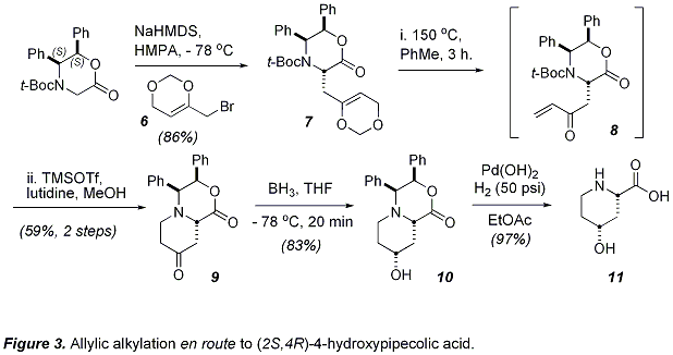 Figure 3. Allylic alkylation en route to (2S,4R)-4-hydroxypipecolic acid.