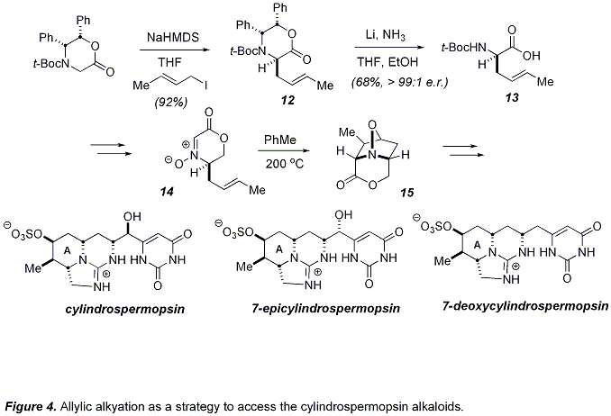 Figure 4. Allylic alkyation to access the cylindrospermopsin alkaloids.