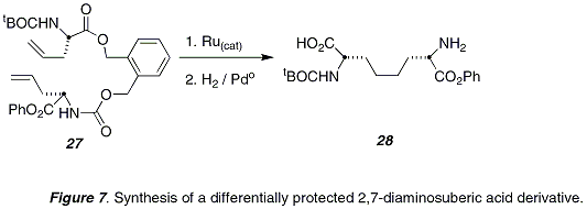 Figure 7. Synthesis of a differentially protected 2,7-diaminosuberic acid derivative.