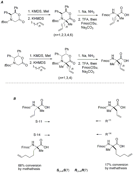 Figure 8. Synthesis of α,α-disubstituted amino acids and their incorporation into stapled peptides.





Adapted with permission from J.





Am.





Chem.





Soc. 2000, 122, 5891-5892, Copyright (2000) American Chemical Society.