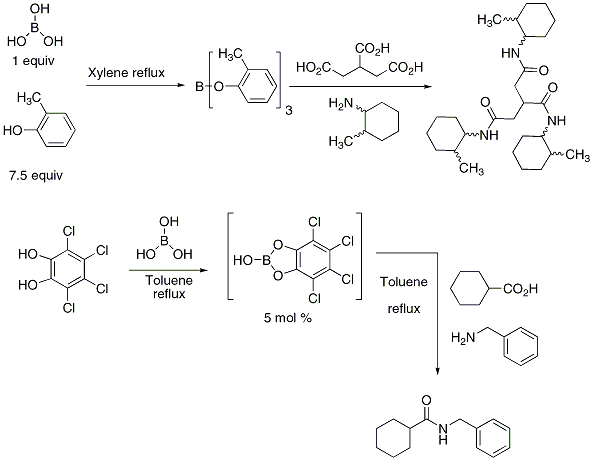 Figure 6.





Amidation catalyzed by a boric acid ester prepared in-situ from boric acid and compounds containing hydroxyl functional groups.