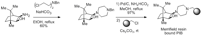 Scheme 9. Synthesis of polystyrene-supported PIB