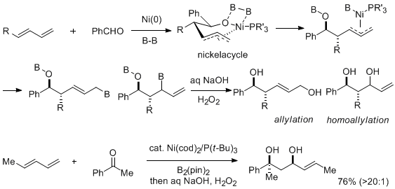 Figure 4. Borylative Coupling Reaction of Diene and Carbonyls