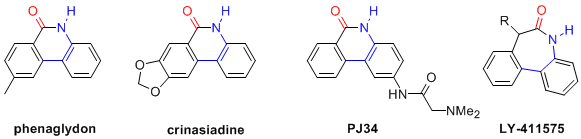 Figure 1. Biaryl Lactams