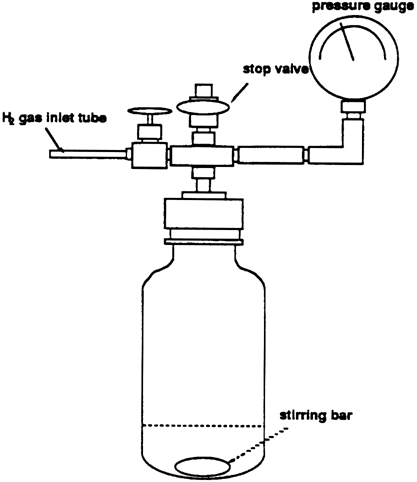 Figure 1. A low-pressure hydrogenation apparatus.