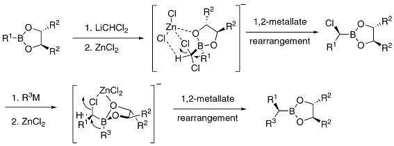 Scheme 1. Matteson-type substrate controlled homologation.
