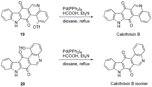 Scheme 18