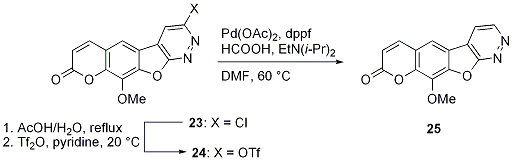 Scheme 22