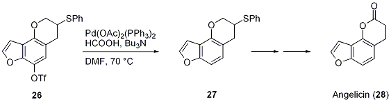 Scheme 23