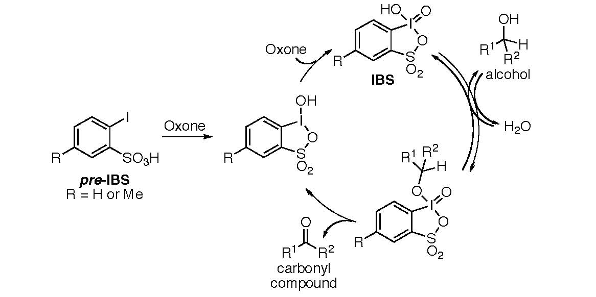 Scheme 1. Proposed Mechanism of In Situ-Generated IBS-Catalyzed Alcohol Oxidation