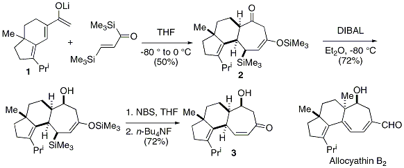 Scheme 1 Synthesis of the tricyclic skeleton of allocyathin B2.