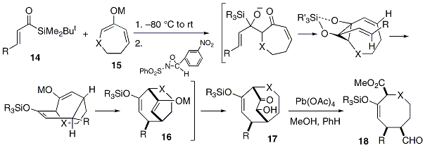 Scheme 4 Stereoselective construction of eight-membered carbocycles and oxygen-heterocycles.