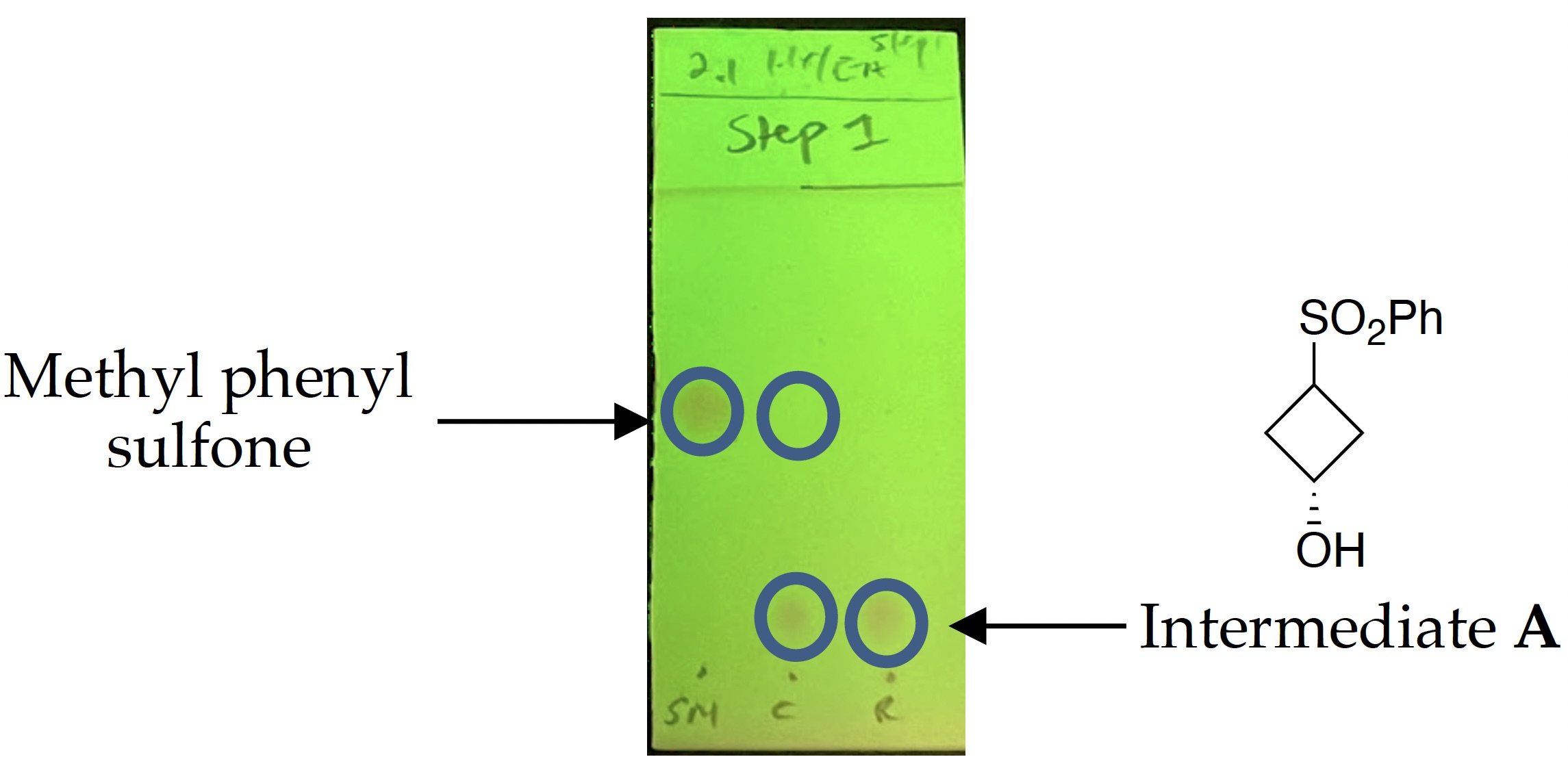 v102p0185-6.jpg
